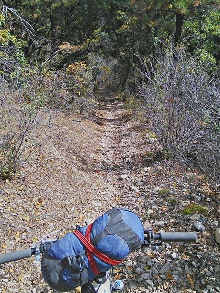 Steep cross-slope in spots but the trail is fairly wide and dished.