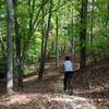 Mt. Laurel Loop Trail winds through the forest at Raven Rock.