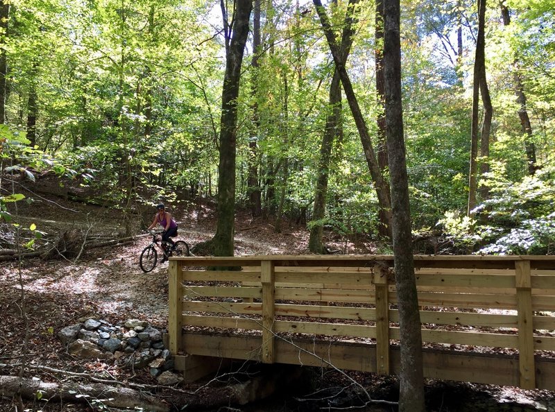 One of the many wooden bridges on the Mountain Laurel Loop Trail.