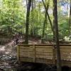 One of the many wooden bridges on the Mountain Laurel Loop Trail.