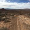 Heading into the Stucki Springs desert.