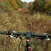 Looking at the Powerline Trail.