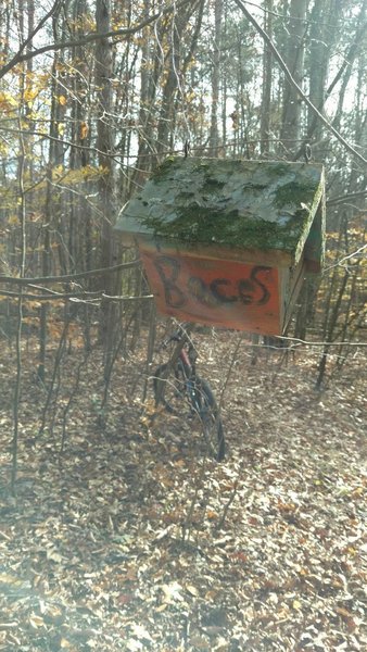 BOCES birdhouse at entry to Sticks and Stones (from Ridge Trail).