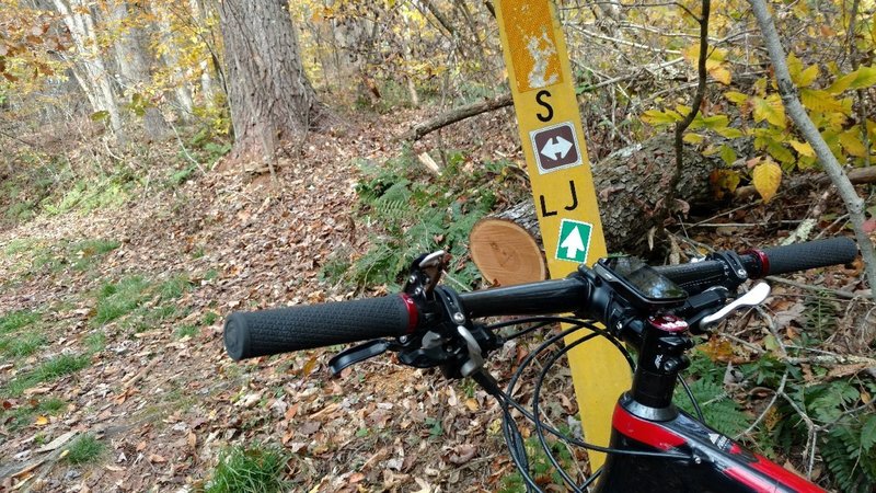 Entry to Logjam from Sylvan Trail.