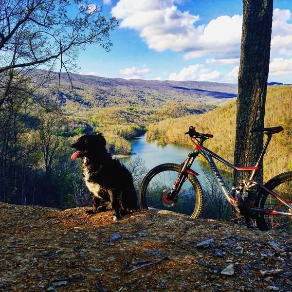 Proud Trail Pup.