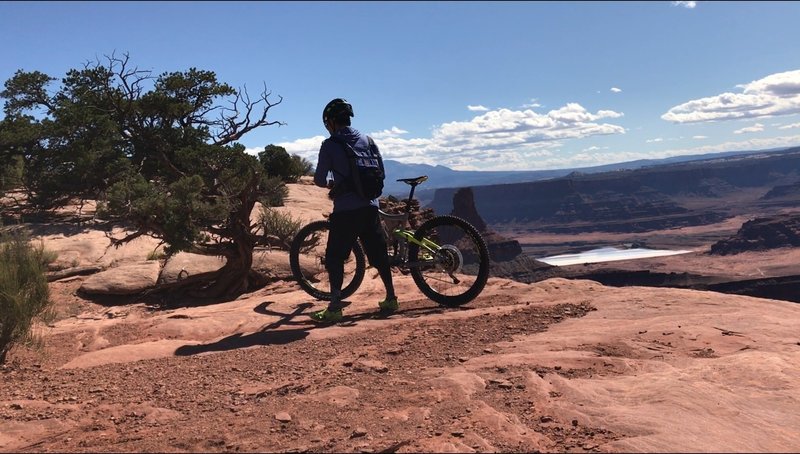Dead Horse Point...whether you are experienced or a beginner, this trail is a must!