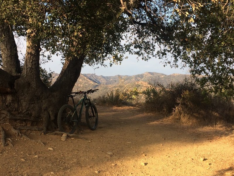 Good rest stop, halfway up Backbone.