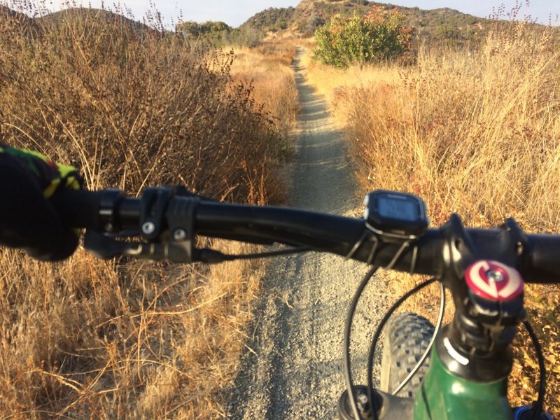 Singletrack on Backbone.