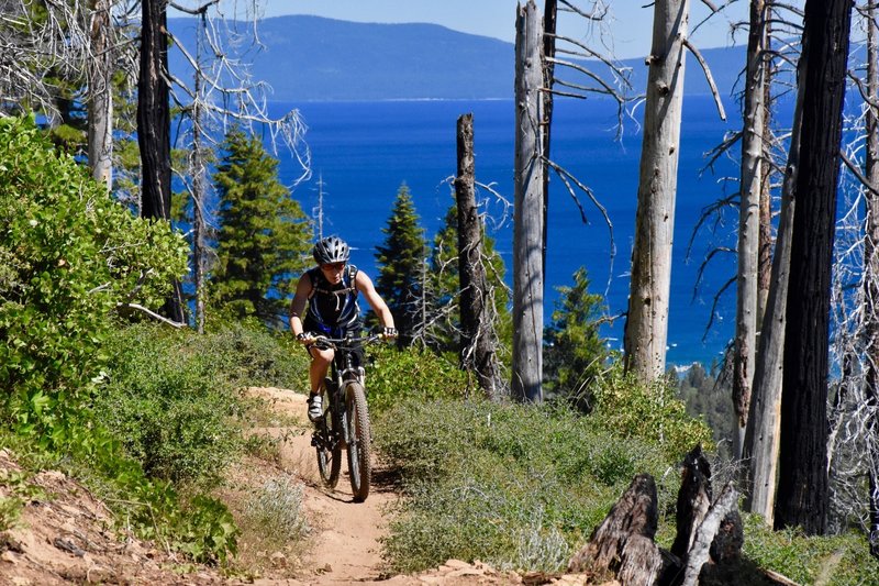 The climb up Tahoe Mountain from the lake side is a grind, but the views take your mind off the effort.