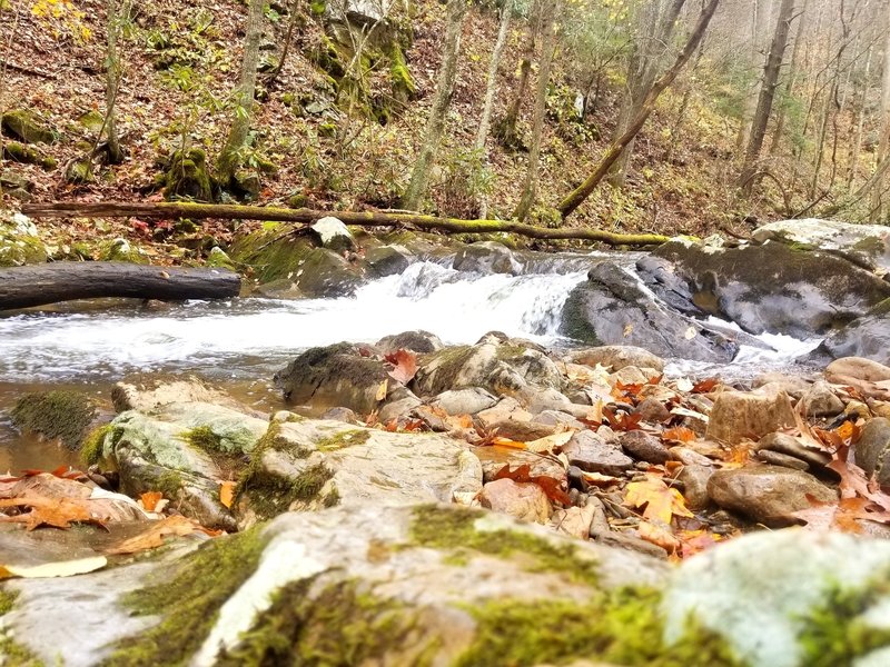 Small creek cascade