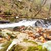 Small creek cascade