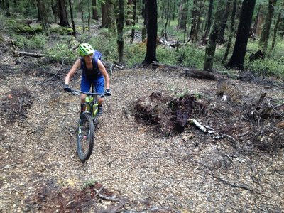 Several switchbacks take the rider to the top of Big Bush
