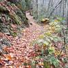 Steep rocky climb to the top of the falls