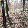 Outstanding mossy boulders signal an upcoming fast downhill section on Loop B.