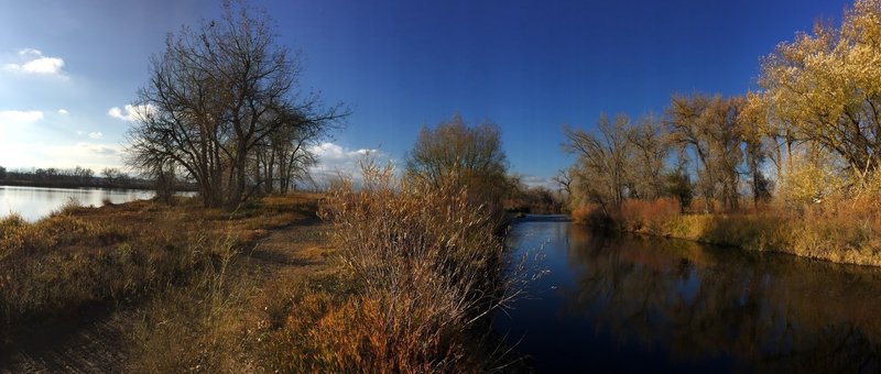 Trail running between the Big Bass Pond and Cache la Poudre River.