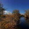 Trail running between the Big Bass Pond and Cache la Poudre River.