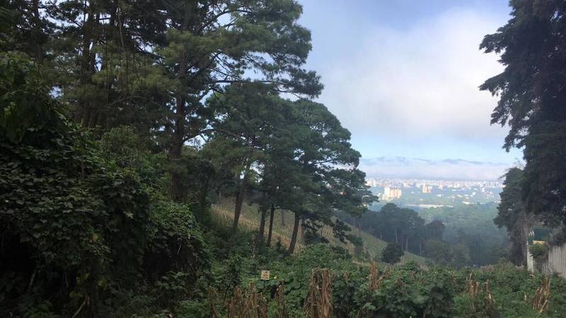 Vista desde el descanso hacia atras antes de entrar en el bosque