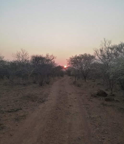 Jeep track heading down towards Bokaa dam at sunrise.