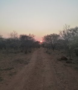 Jeep track heading down towards Bokaa dam at sunrise.
