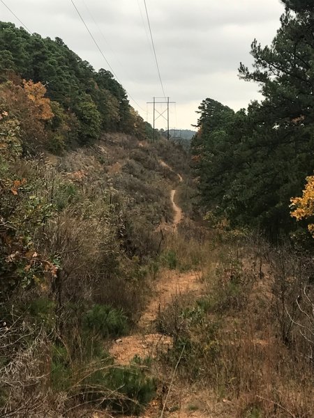 Under the powerlines above Connor Park, one of my favorite parts of this trail.