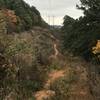 Under the powerlines above Connor Park, one of my favorite parts of this trail.