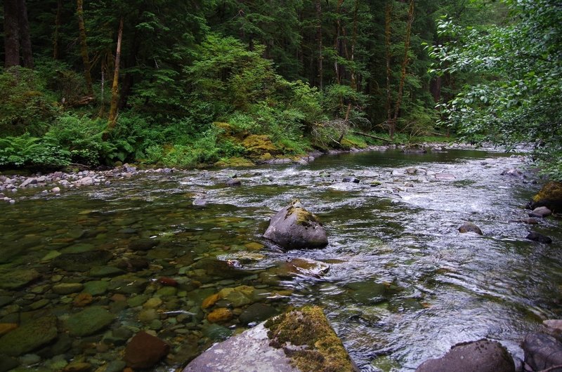 Siouxon Creek at low water.