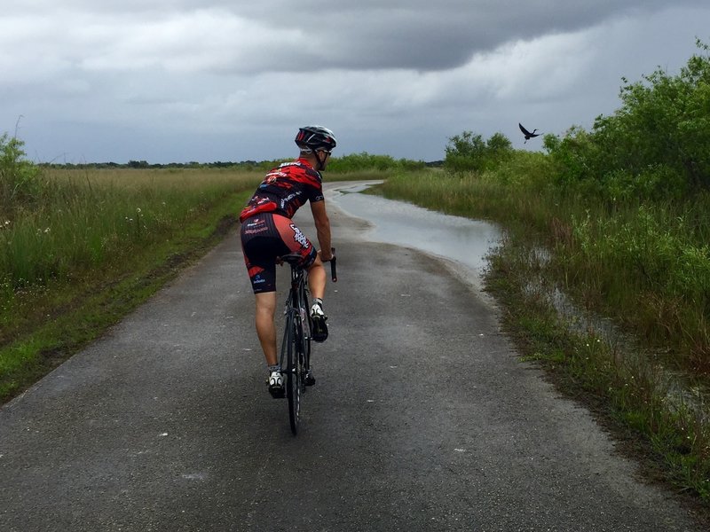 Plenty of wildlife on this paved trail