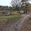 One of the fens on the Papenvoortse Heide. The path on the right is part of the blue MTB trail.