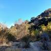 Fun, winding creekbed trail through the trees.