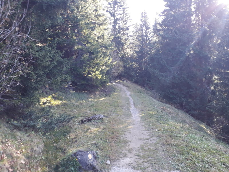 Some very fun singletrack between Bretaye and Col de la Croix.