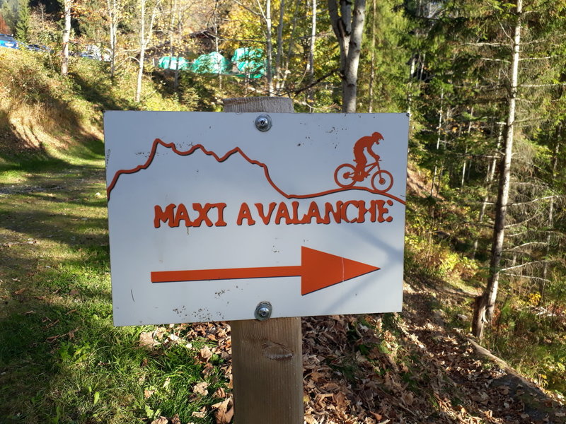 The start of Maxi Avalanche; not for the faint of heart (I had to do some walk-a-bike down certain sections).