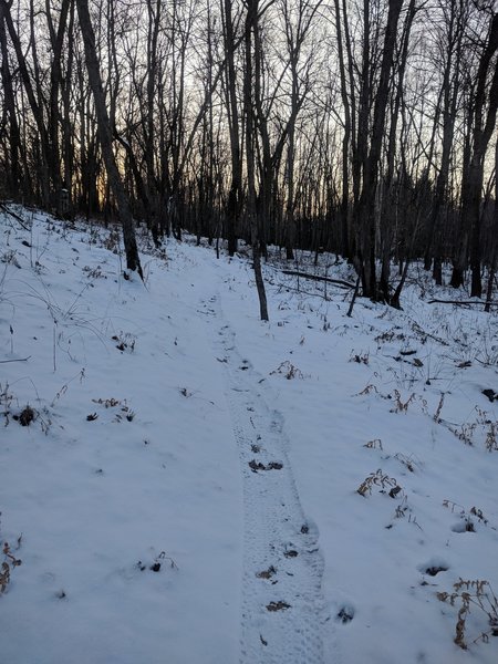 winter fat bike trail