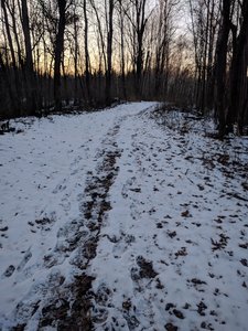 grass trials winter hiking