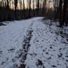 grass trials winter hiking