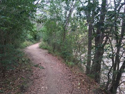 Smooth patch of trail