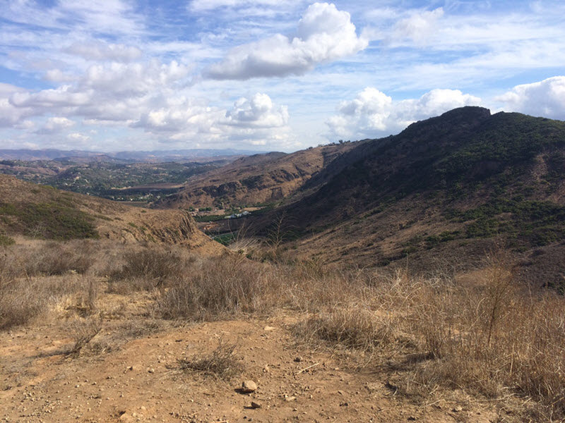 Near the top of a trail cutoff between Box Canyon and Canyon Overlook