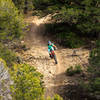 Horsethief Mesa Trail ~ some of New Mexico's finest singletrack