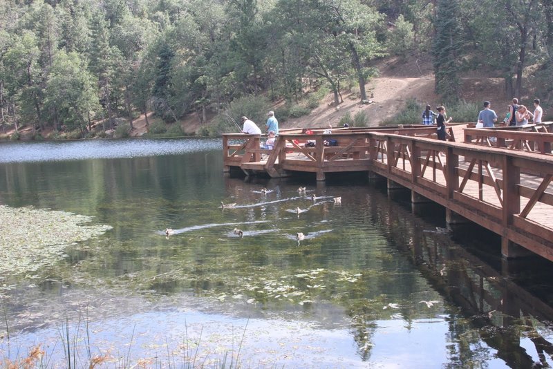 This is the dock at Jenk's Lake. A trail starts right behind where this photo was taken.