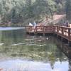 This is the dock at Jenk's Lake. A trail starts right behind where this photo was taken.