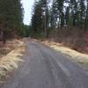 Typical view up Lightning Creek Rd.