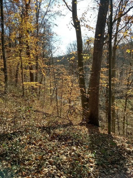 A view down into the river valley below