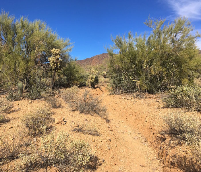 Some rutted out sections along the route.