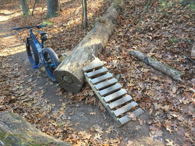 1 of the larger downed tree ramps...they are well constructed and flow very well...hit them all!