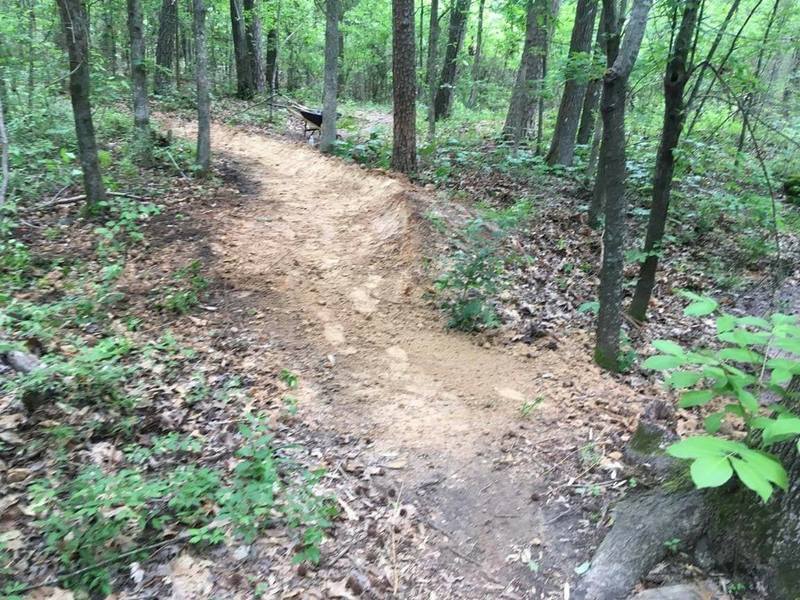 Fresh cut singletrack on the Intermediate loop