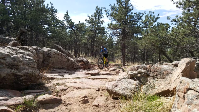 Nice rock formations through the pine trees
