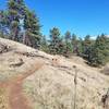 Usually Turkey can be spotted in the area, sometimes standing on the trail.