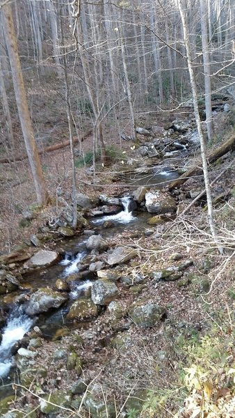 Nice creek views all over this area