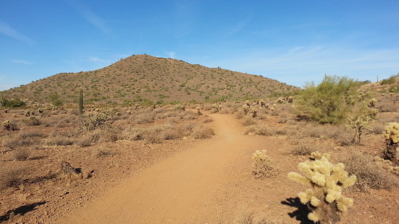 Start of Ocotillo trail - heading West