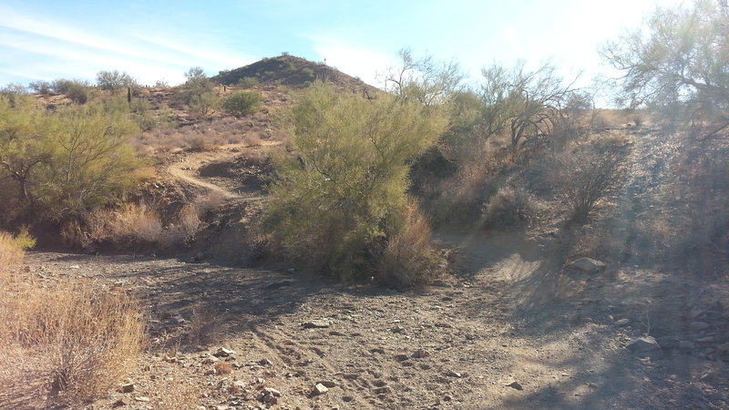 Nice descent with switchback followed by quick right turn.  Areas like this make this trail fun.