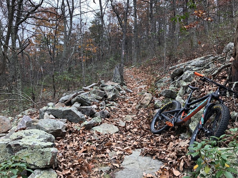 This trail has some technical sections.  The leaves hide a lot of the holes making it hard to pick a good line.